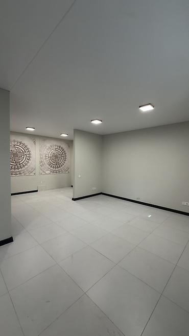 офисы квартира: Сдаю Офисный кабинет: 56 м², С ремонтом, С отдельным входом — 6
