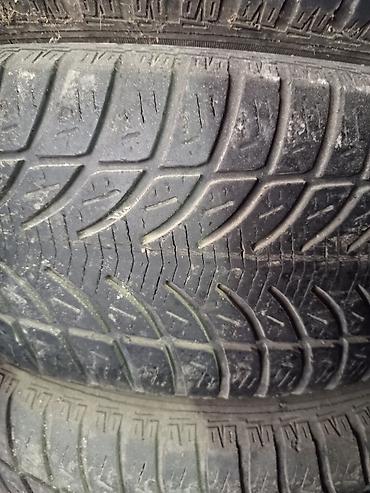 sava ex7: Летние шины Sava 235/65 R17 - Производитель: Sava - Размер: 235/65 — 1