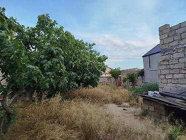 Torpaq: 4 sot, Tikinti, Mülkiyyətçi, Kupça (Çıxarış) — 7