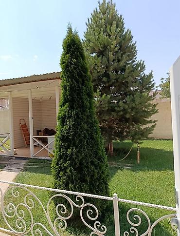 Долгосрочная аренда домов: 200 м², 6 комнат, Утепленный, Теплый пол, Бронированные двери — 5