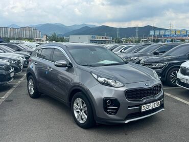 kia sportage 2019: Kia Sportage: 2017 г., 2 л, Автомат, Дизель, Кроссовер