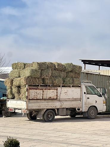 Корма для с/х животных: Сено в тюках - Прессованное сено в прямоугольных тюках, аккуратная — 1
