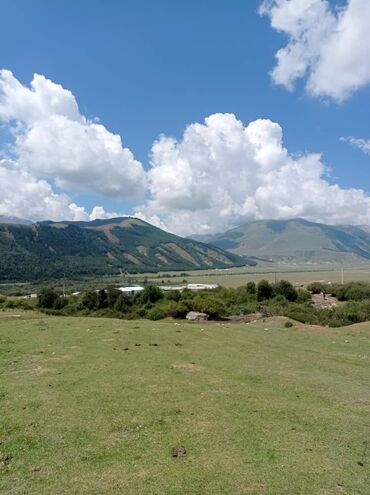 Продажа участков: 30 соток, Для бизнеса, Тех паспорт — 9