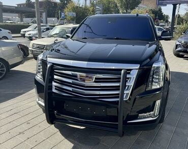 кенгуру спринтер: Кенгурятник Cadillac, Новый, Бесплатная доставка