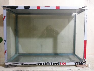 kompresor akvarium: Akvarum ela maldi qalin susedi uzun 60 eni 30 hund 55