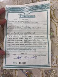 qubada aylıq kirayə evlər: 10 sot, Tikinti, Mülkiyyətçi, Kupça (Çıxarış)