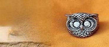 Prstenje: Prsten Sova I Tirkizni prsten. 1. Prsten Sova Prekrasan prsten Sova — 8