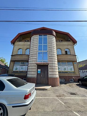 beta stores: 500 м² — 1