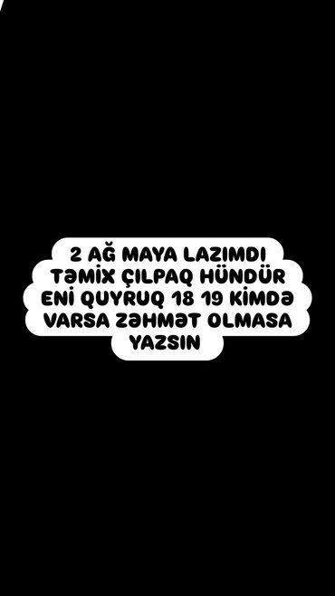 запчасти на фольксваген гольф 2: Axtarılır: 2 ədəd ağ maya (təkər diski üçün) – təmiz, çılpaq, hündür