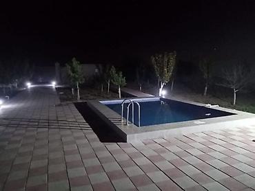 qala evler: Kirayə mənzillər və villalar Villa – hovuzlu və meyvə ağaclı həyət - — 4