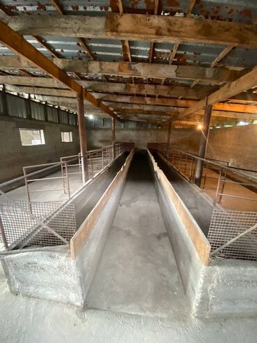 Продажа домов: Дом, 50 м², 3 комнаты, Собственник, Косметический ремонт — 14