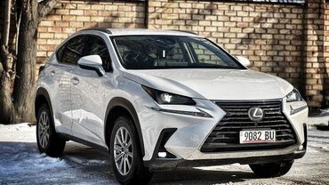 Lexus: Lexus NX: 2019 г., 2 л, Автомат, Бензин, Кроссовер