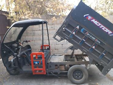 go park: Грузовой трицикл «Летучий Конь» (бренд Motor) с опрокидывающимся — 4