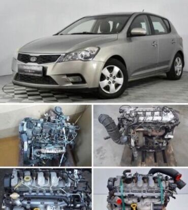 maşın üçün siqnal: Kia Ceed, 1.6 l, Dizel, İşlənmiş