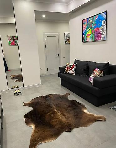 Долгосрочная аренда квартир: 2 комнаты, Собственник, С мебелью полностью — 9