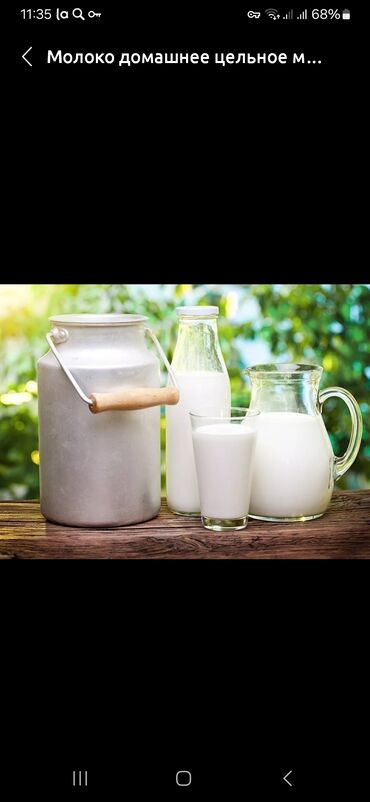 Молочные продукты и яйца: Продам домашний молоко из под коров 🐄 🐄 🐄 цельный чистый жирный