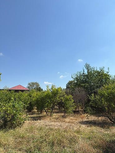 Həyət evləri və villaların satışı: 3 otaqlı, 72 kv. m — 16