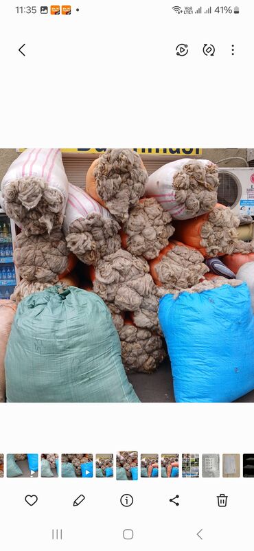 Yun: QOYUN YUNU SATILIR Şamaxı yunu — 11