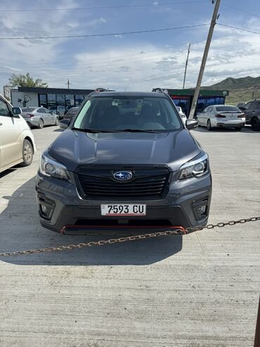 subaru forester куплю: Subaru Forester: 2020 г., 2.5 л, Автомат, Бензин, Внедорожник