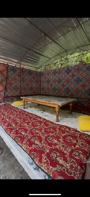 дезинфекция крыс: Юрты, тапчаны у речки. Аламединское ущелье. Уважаемые дамы и господа! — 4
