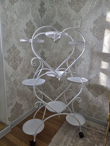 офисные растения: Үй жана бакча үчүн декор, Өзү алып кетүү, Акылуу жеткирүү