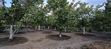 Продажа участков: 10 соток — 1