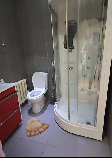 Долгосрочная аренда домов: 384 м², 5 комнат — 17