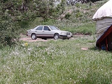 weltmeister meteor: Mercedes-Benz W124: 1989 г., Седан — 2