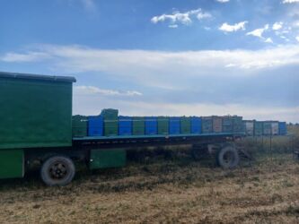 шины на x5: Продаётся Пчелоплатформа