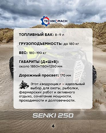 Квадроциклы: Квадроцикл Бензин, 250 куб. см, Взрослый — 4
