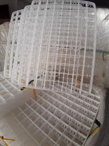 İnkubatorlar: 88 ədədlik toyuq latoq 
ölçü (50 .36) — 14