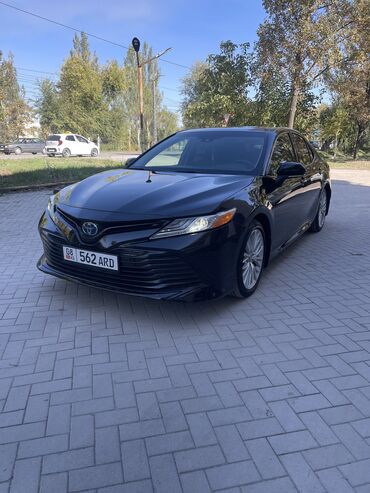 тойота новах: Toyota Camry: 2017 г., 2.5 л, Вариатор, Гибрид, Седан