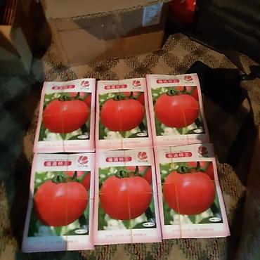 семенной чеснок: Семена розывых помидоров цена 2700 — 1