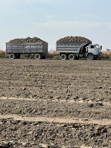 Грузовики: Грузовик, Новый — 8