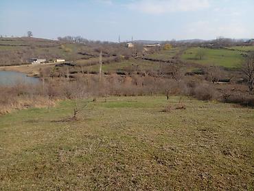 kiraye yolu ile satilan evler: 30 sot, Kənd təsərrüfatı, Mülkiyyətçi — 8
