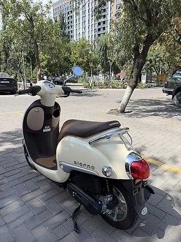 сдаю мопед: Мини мопед Honda, 50 куб. см, Бензин, Б/у — 3