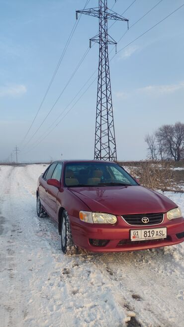 Toyota: Toyota Corolla: 2002 г., 1.8 л, Автомат, Бензин, Седан