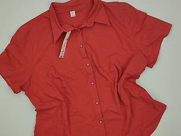 pull and bear polonia: Bluzka damska, rozmiar 5XL — 1