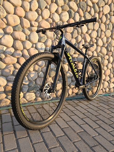Шоссейные велосипеды: Горный велосипед, Specialized, Рама L (172 - 185 см), Карбон, Б/у