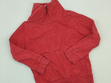 Sweatshirts: Sweatshirt, 4-5 years, 104-110 cm, condition - Good