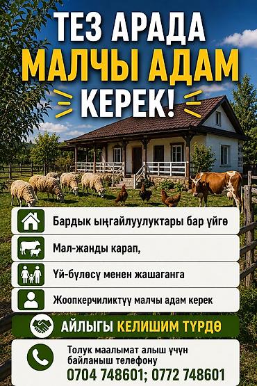 реставрация чехлов: Малчы керек — 1