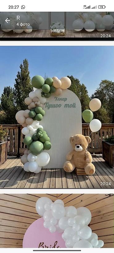Фотозоны и Жар жар Айтуу и дым снег золушка апараттар менен Вагннер