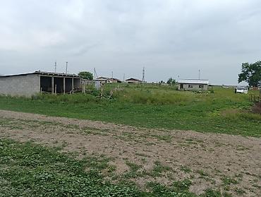 бишкек жер участок: 15 соток, Айыл чарба үчүн, Кызыл китеп — 6