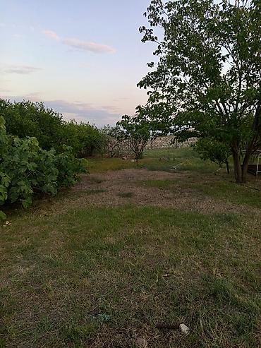 дачи в баку аренда: Мингечевир, 9 м², 1 комната, Без бассейна, Водопровод — 2