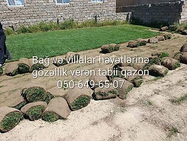 ucuz cam balkon: Xidmət: Bağ və villa həyətlərinin yaşıllaşdırılması üçün təbii rulon — 1