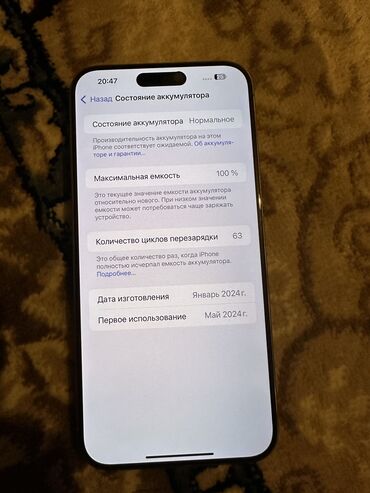 айфон х про: IPhone 15 Pro Max, Колдонулган, 256 ГБ, Күмүш, Куту, 100 %