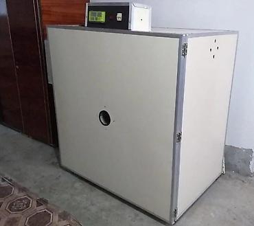 Digər biznes avadanlığı: Son model rəqəmsal tam avtomat.
inkubator sifarişi — 3