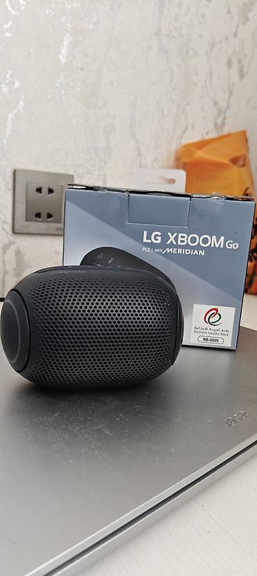 dinamik temiri: LG XBOOM Go PL2 portativ Bluetooth akustik sistemi Problemsizdir və — 5