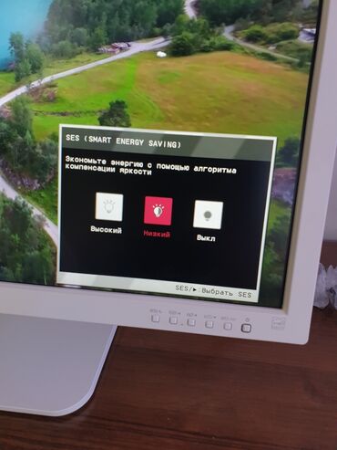 Мониторы: Монитор, LG, 27" - 28" — 7