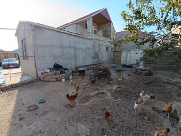 Həyət evləri və villaların satışı: Binə 4 otaqlı, 150 kv. m, Kredit yoxdur, Yeni təmirli -da lalafo.az — 7 Həyət evləri və villaların satışı: Binə 4 otaqlı, 150 kv. m, Kredit yoxdur, Yeni təmirli — 7